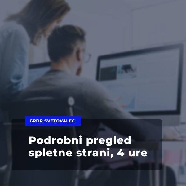 Podrobni pregled spletne strani - 4 svetovalne ure